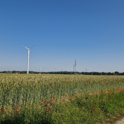 Umgebung