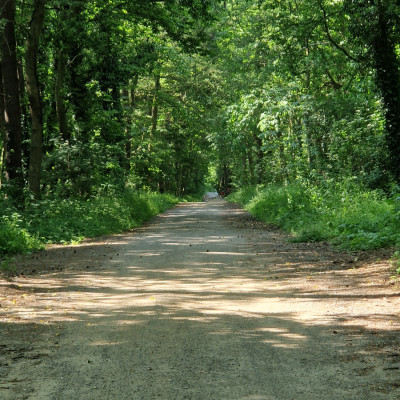 Umgebung 2